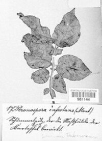 Image Associated With the Occurence